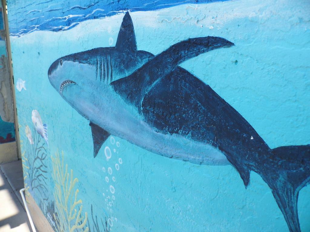 The Bay Inn At The Lani Kai フォートマイヤーズビーチ エクステリア 写真